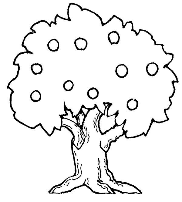 apple trees Colouring Pages