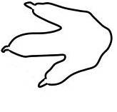 Dinosaur Footprint Outline - Free Clipart Images