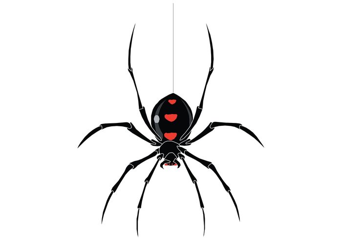 Spider Vector | Free Vector Art at Vecteezy!