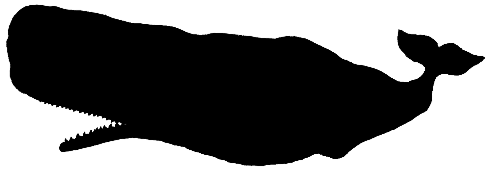 Whale Silhouette Clipart