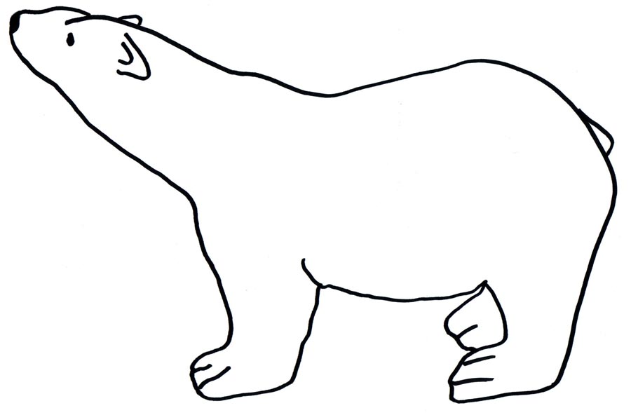 Bolar bear clipart outline