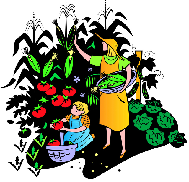 Vegetable farm clipart