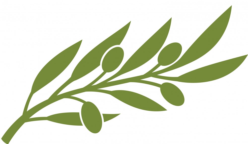 Olives, Olive branches and Branches