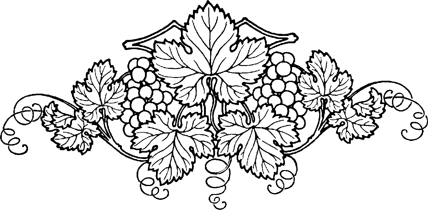 Grape Vine Clipart