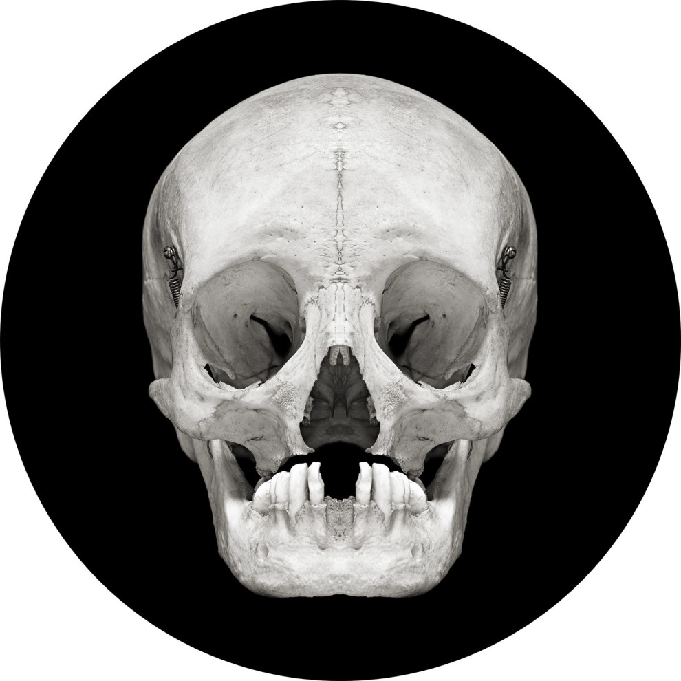 This Photographer Is Highlighting The Strange Beauty Of Human Skulls