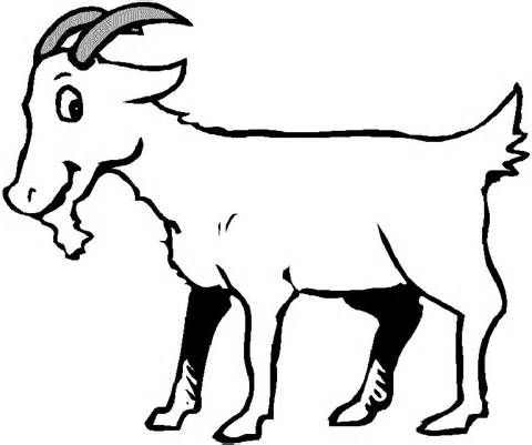 free coloring pages goat coloring page goat kkuy free online ...