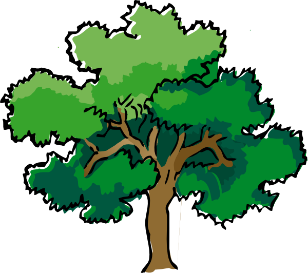 Oak Tree Cartoon