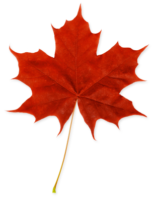 Clip Art Red Maple Leaf - ClipArt Best