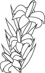Easter Coloring Pages, Easter Printables for Spring and Lenten Crafts