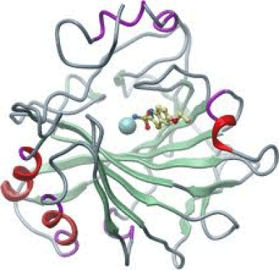 OMICS Publishing Group | Full-text | Copper and Zinc, Biological ...