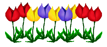 Tulips - Tulip Clip Art - A Row of Tulips - Tulip Images