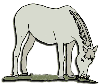 Free Horse Clipart, Echo's Free Horse and Pony Clipart to Download