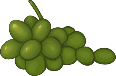 Green grapes clipart