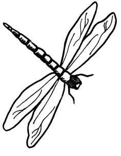 Beautiful Dragonfly Drawing - ClipArt Best