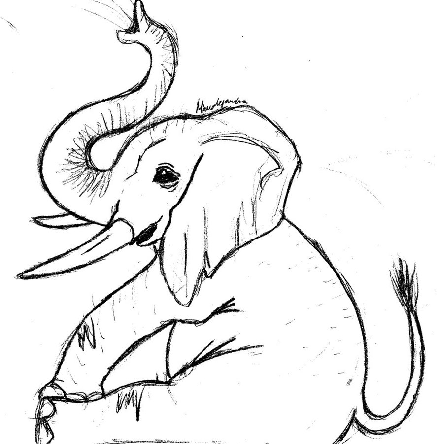 Elephant Drawings Images Cliparts Co - Litle Pups