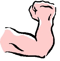 Strong muscle clip art