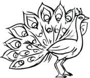 Peacocks coloring pages | Free Coloring Pages