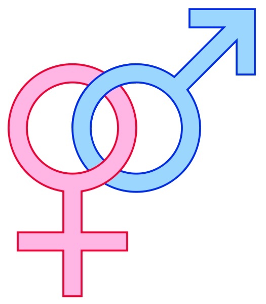 gender-symbols-male-female-signs11 | Heroes: What They Do & Why We ...