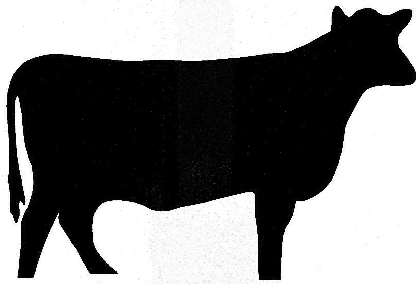 Black Angus Bull Clipart