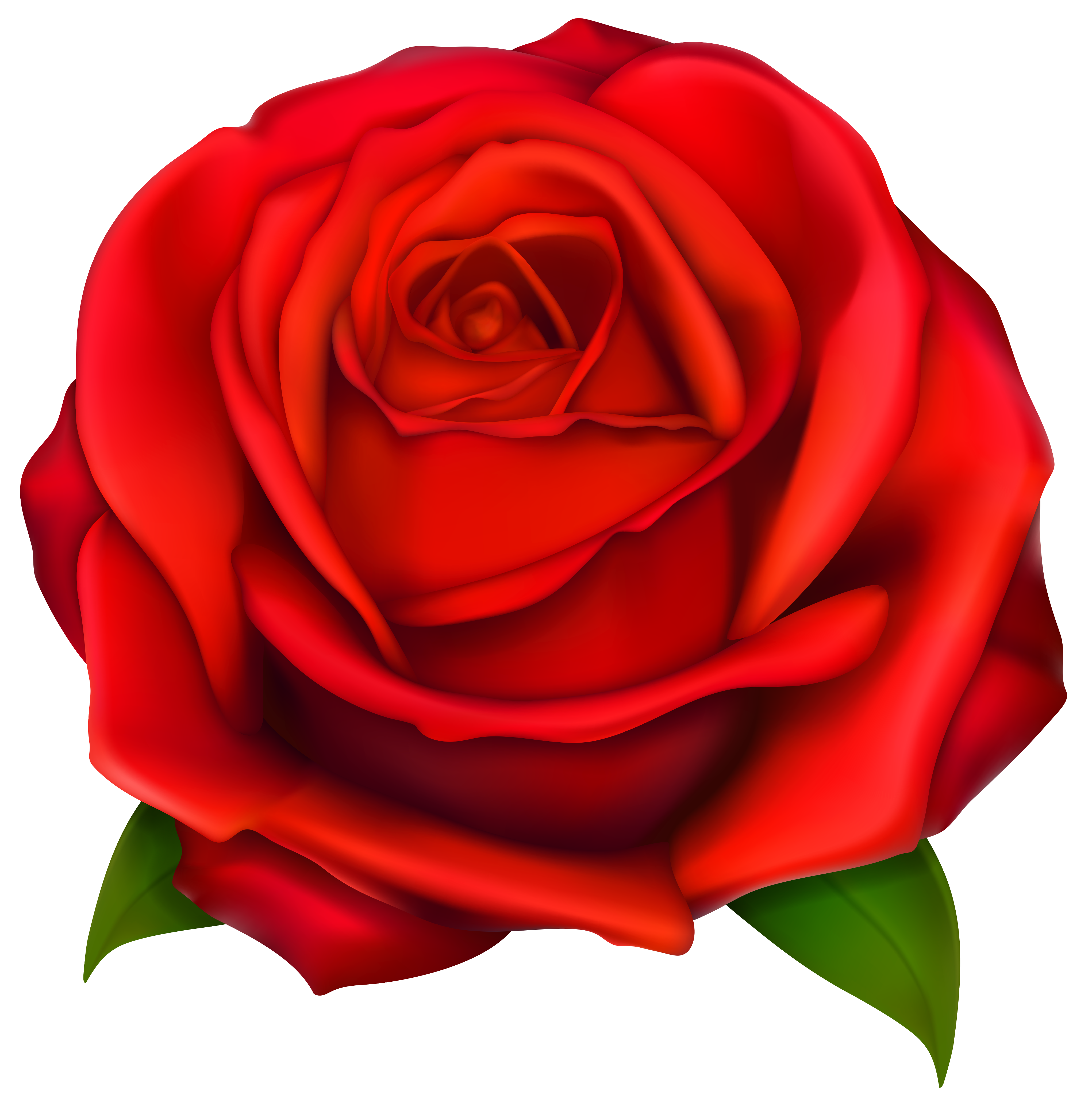 Image of clip art red rose 2 red roses clip art images free ...