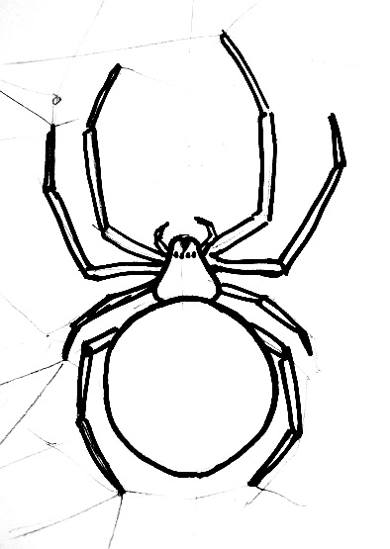 How to draw a Garden Cross Spider