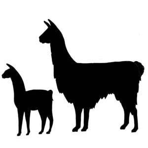 Best Llama Clipart #2876 - Clipartion.com