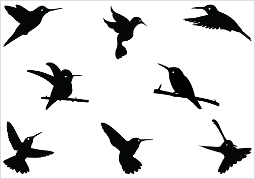 Hummingbird Clipart - Free Clipart Images
