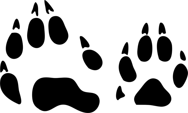 Animal Stencils - ClipArt Best