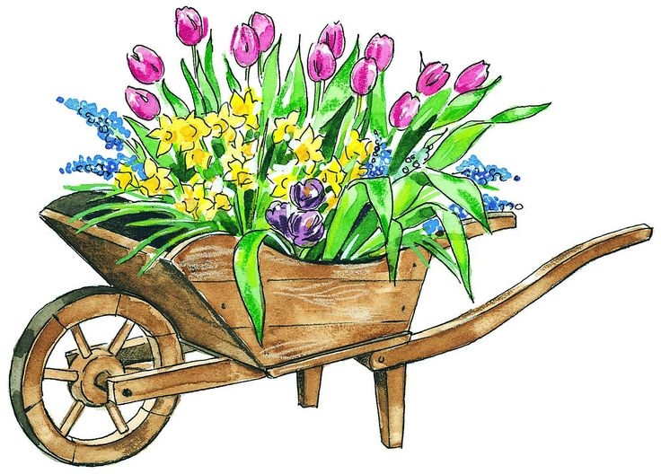 May Flowers Clipart