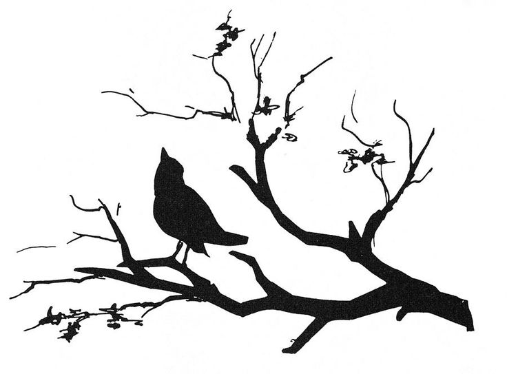 Best Photos of Bird On Branch Silhouette Printable - Birds On ...