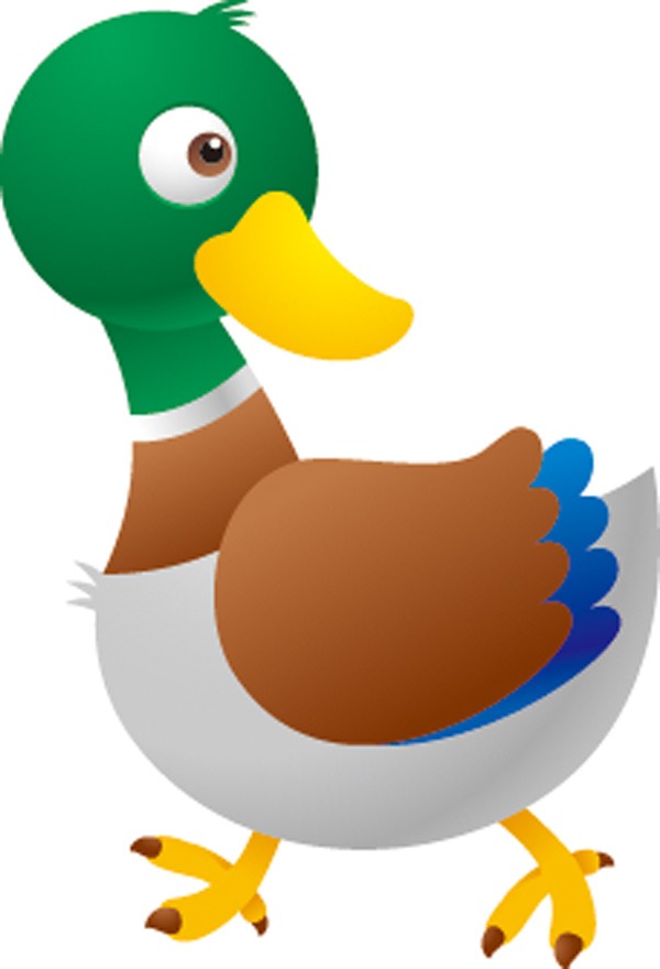 Cartoon Duck Images