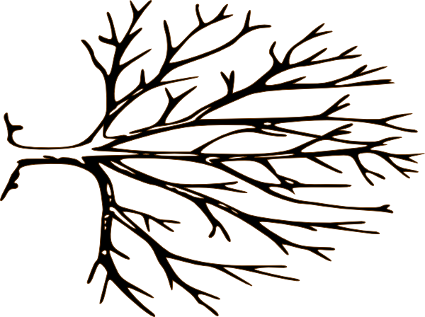 Brown Bare Tree Clipart