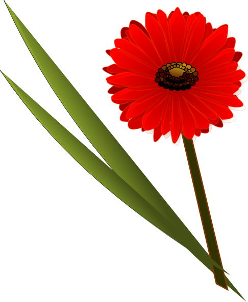 Gerber Daisy Clipart | Free Download Clip Art | Free Clip Art | on ...