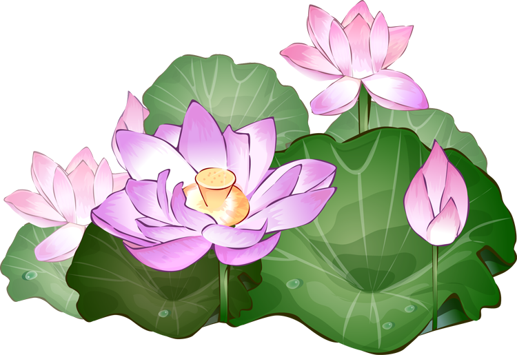 Lotus flower clip art free - ClipartFox