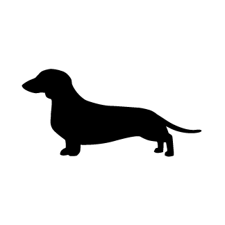 1000+ images about tattoo | Cat outline, Dachshund ...