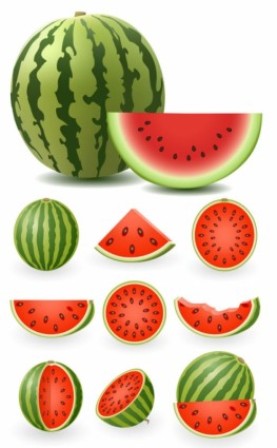 Download Fruit, Food And Drink Vector Free | Free Vector Download ...