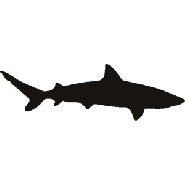 Marine - Animals - Shapes - Stencils
