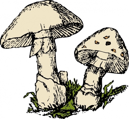 Fungi Clipart - ClipArt Best