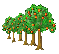 Clip Art Fruit Orchard Clipart