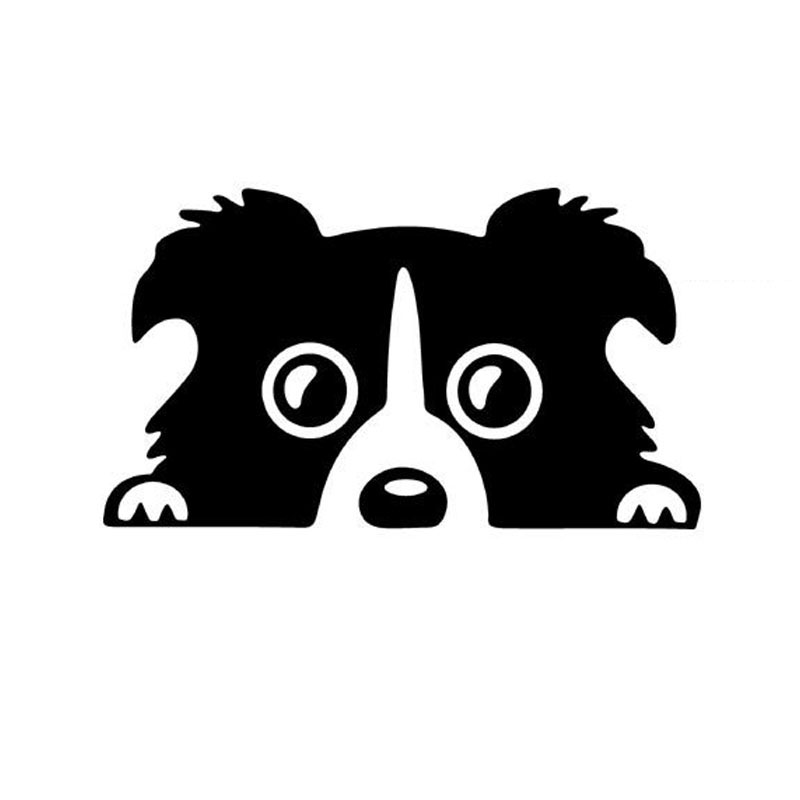 Dog Border Collie Promotion-Shop for Promotional Dog Border Collie ...