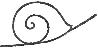 How to Draw Snails with Simple Step by Step Drawing Instructions ...