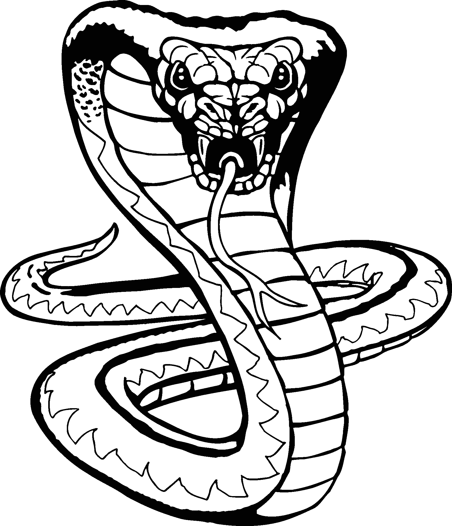 How To Draw A Viper Snake ClipArt Best
