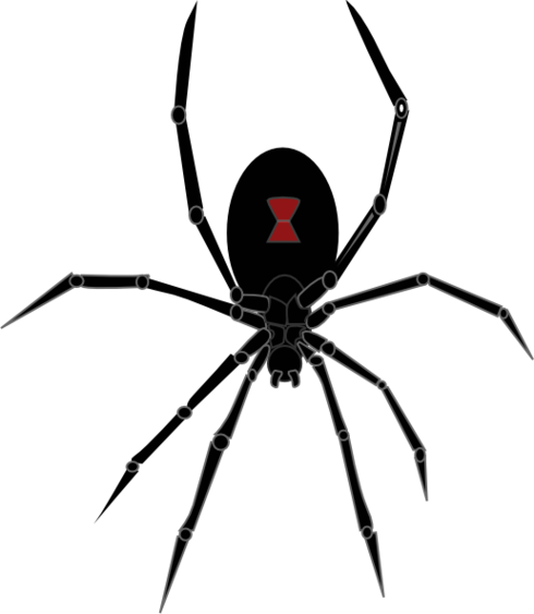 Black Widow Spider Drawing Clipart - Free to use Clip Art Resource