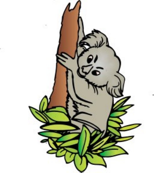 Koala clipart koala