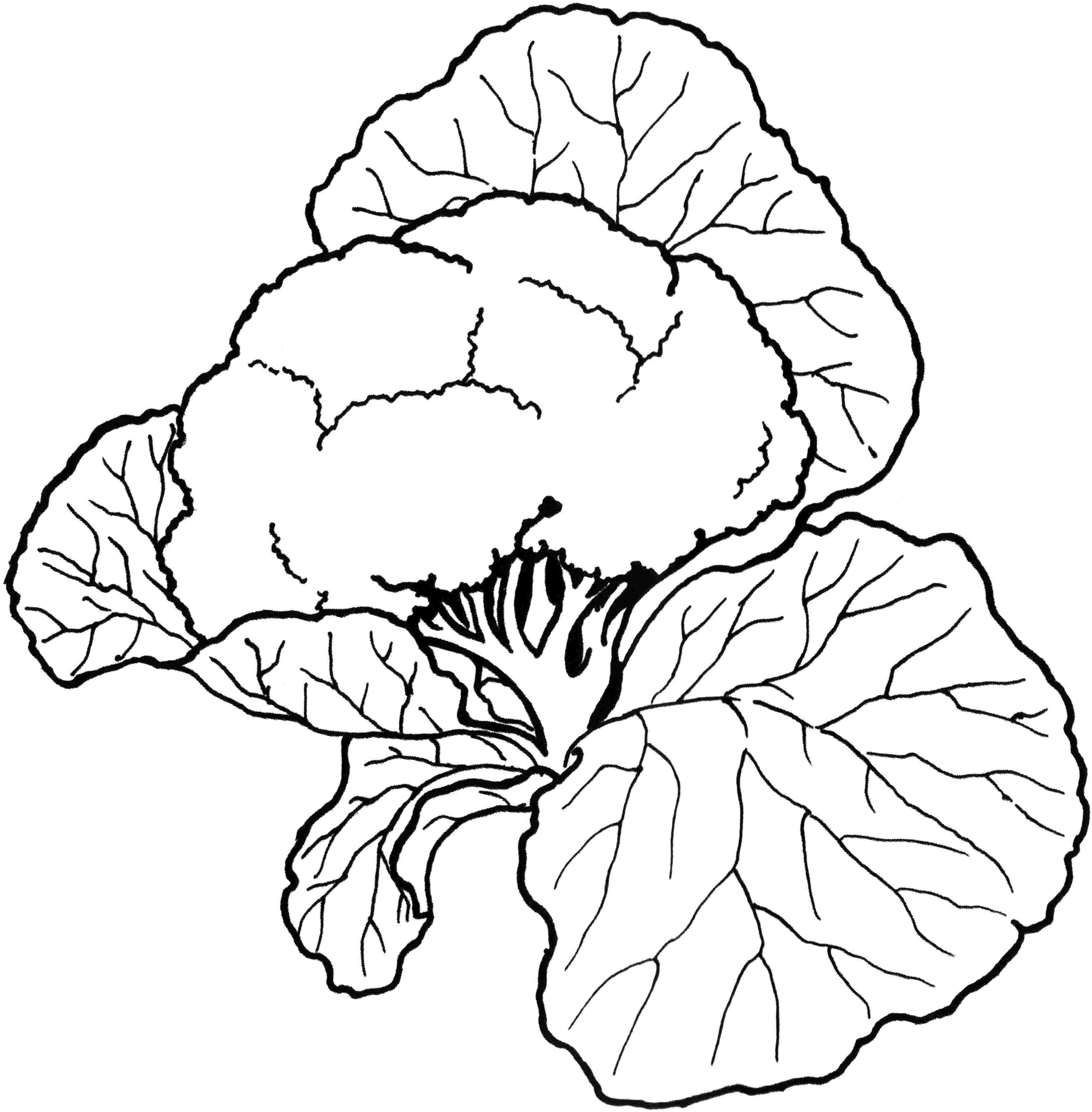 vegetales free coloring pages