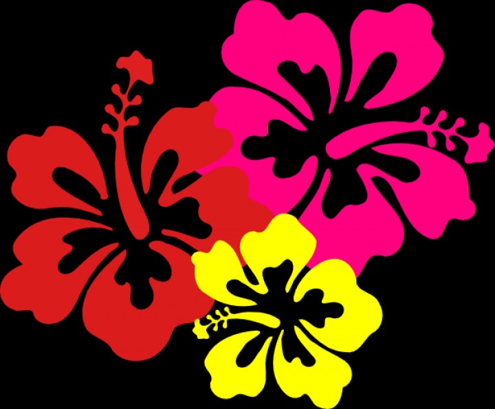 Free Lei Border Clip Art Draw | ClipArTidy