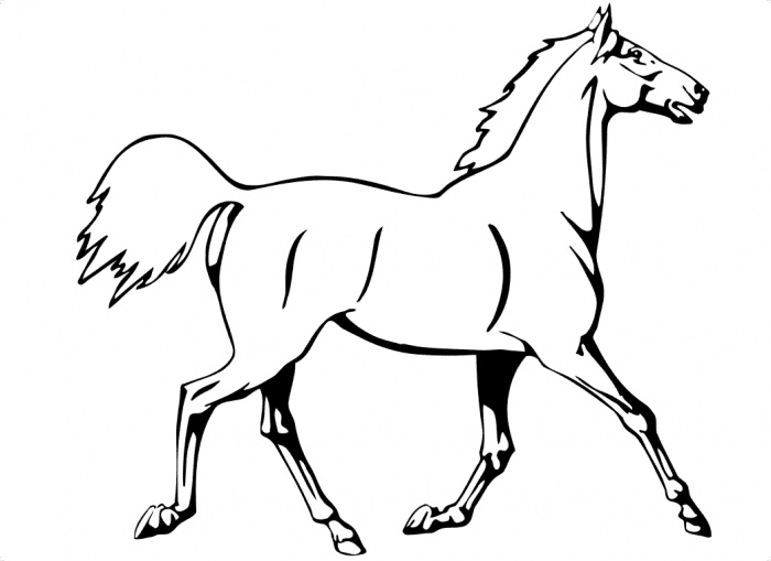 Printable Horse Stencils