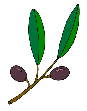 Olive branch pictures clip art