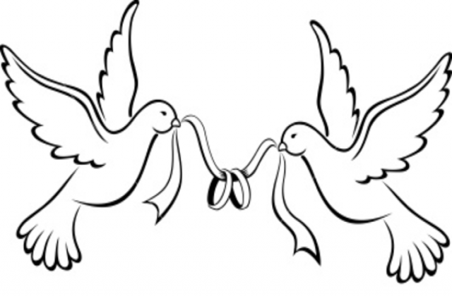 Love Birds Drawing Pic - ClipArt Best