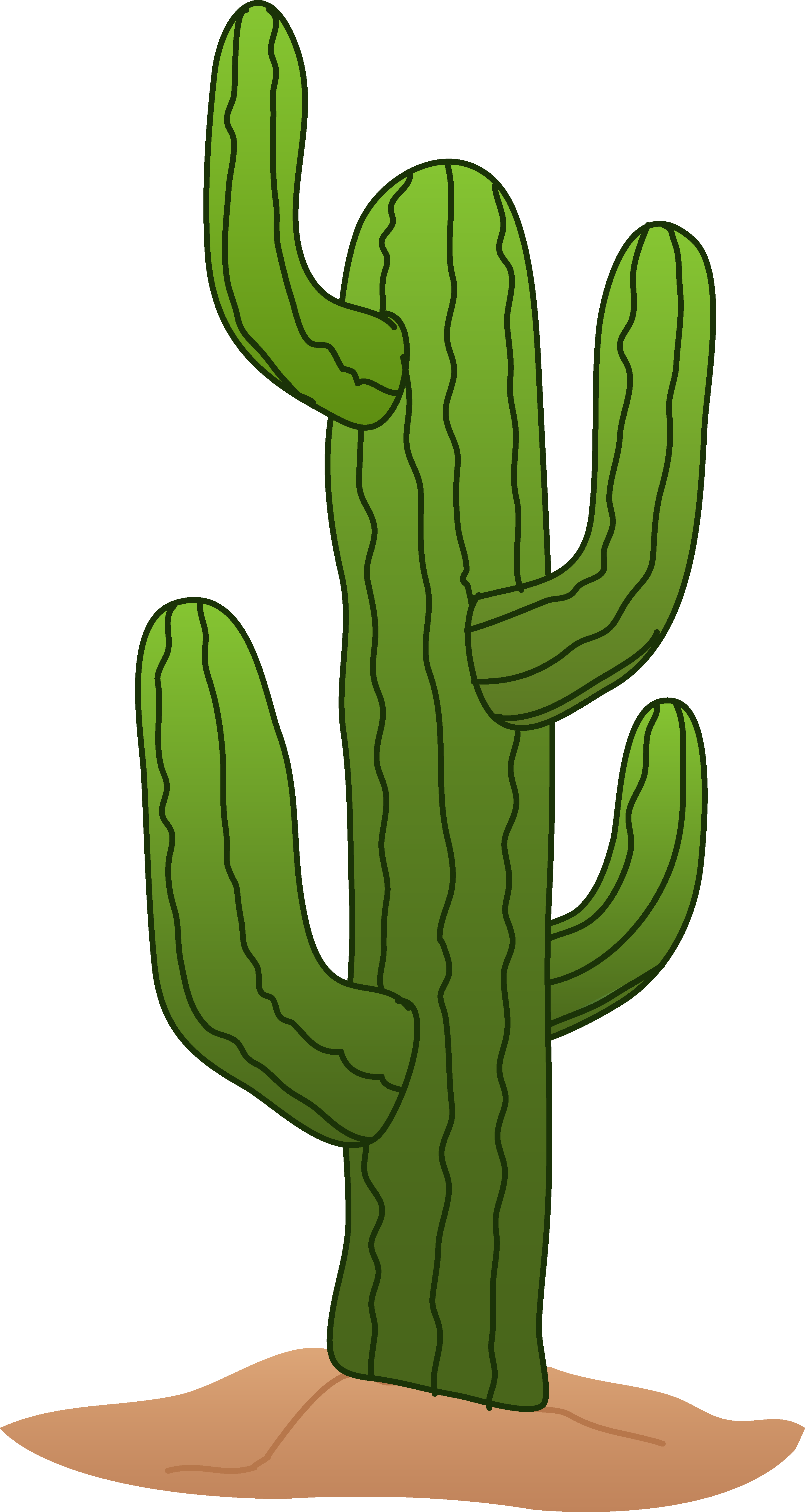 Cactus Png | Free Download Clip Art | Free Clip Art | on Clipart ...